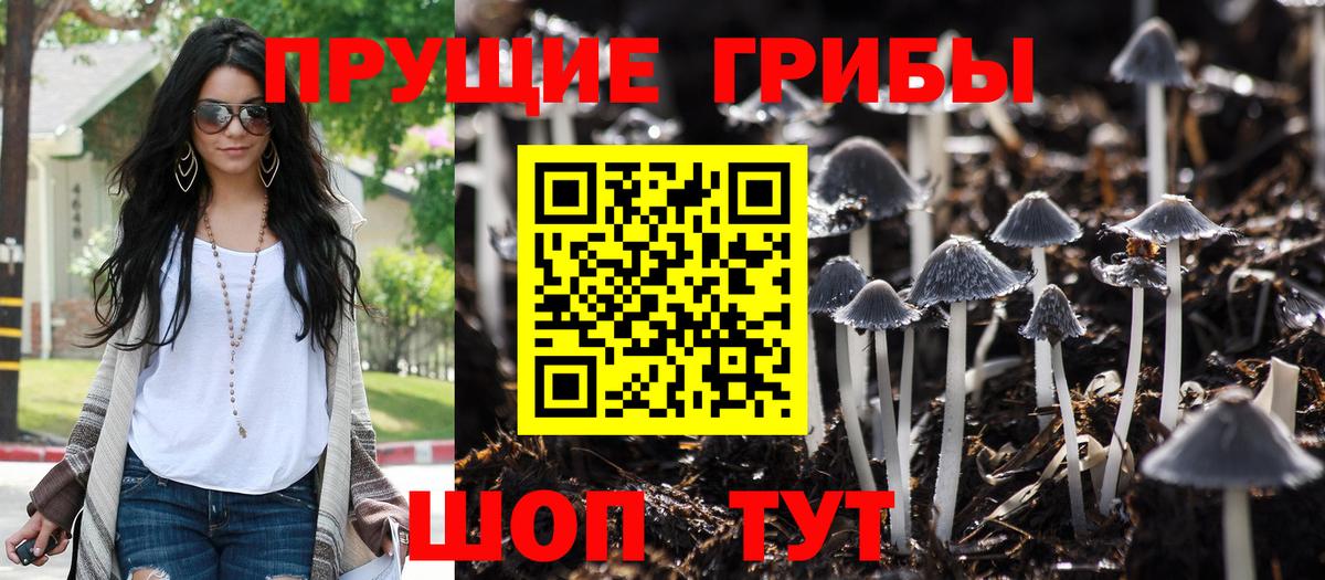 Псилоцибиновые грибы MAGIC MUSHROOMS  Вход с VPN  Альметьевск  Галлюциногенные грибы Magic Shrooms 